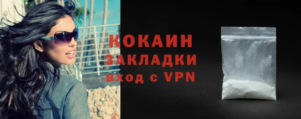 стафф Алзамай