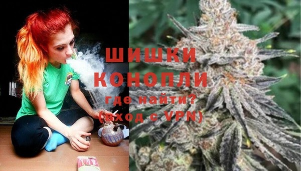 бошки Алексин