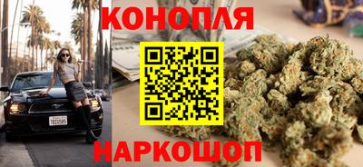 сатива Можга