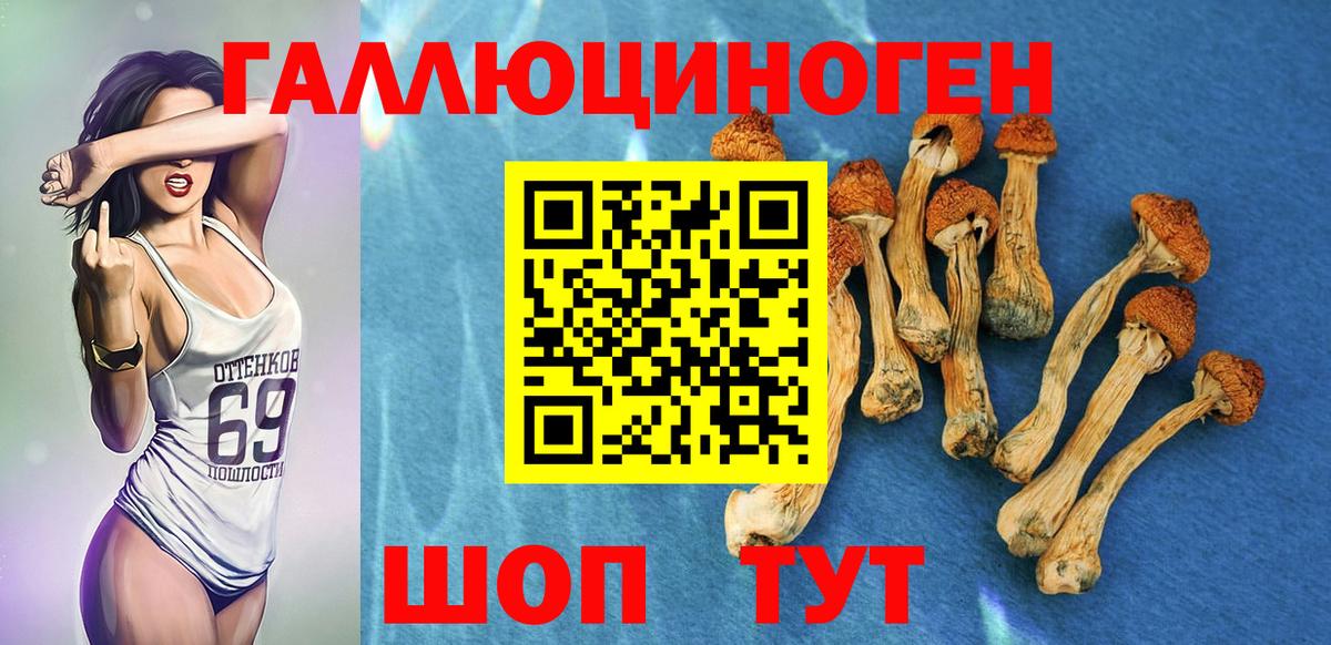Галлюциногенные грибы Cubensis Волжский