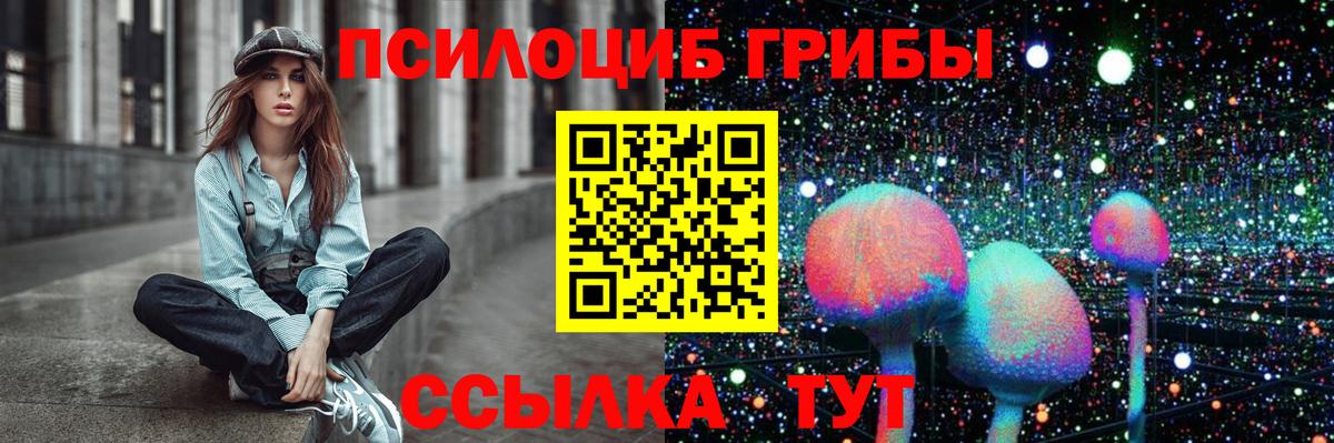 Псилоцибиновые грибы GOLDEN TEACHER  Вход с VPN  Волжский  Псилоцибиновые грибы ЛСД 