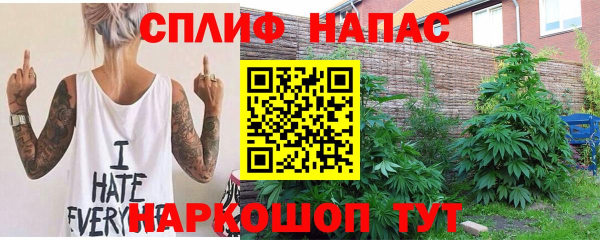 Бошки марихуана MAZAR  Вход с VPN  Бошки Шишки Amnesia  Волжский  Канабис планчик 